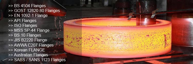 SS 304 Flange Standard