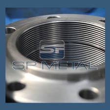 Stainless Steel 304 Threaded Flange