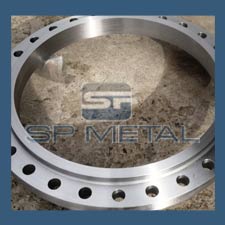 316L SS Flange