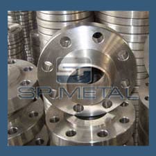 316L SS Flanges