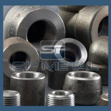 ASME SA 182 F91 Round Head Plug