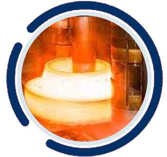 ASTM B649 SS 904L Forged Flanges