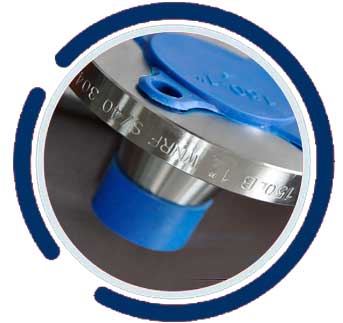 Class 300 Stainless Steel 304 Welding Neck Flange