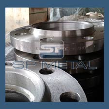 SS 310 Flange