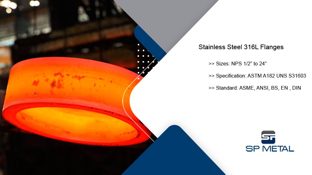 Stainless Steel 316L Flanges