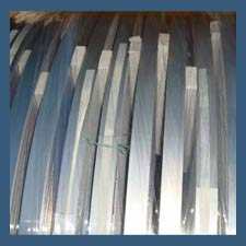 Stainless Steel 310 Strips