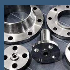 UNS S32750 Flanges